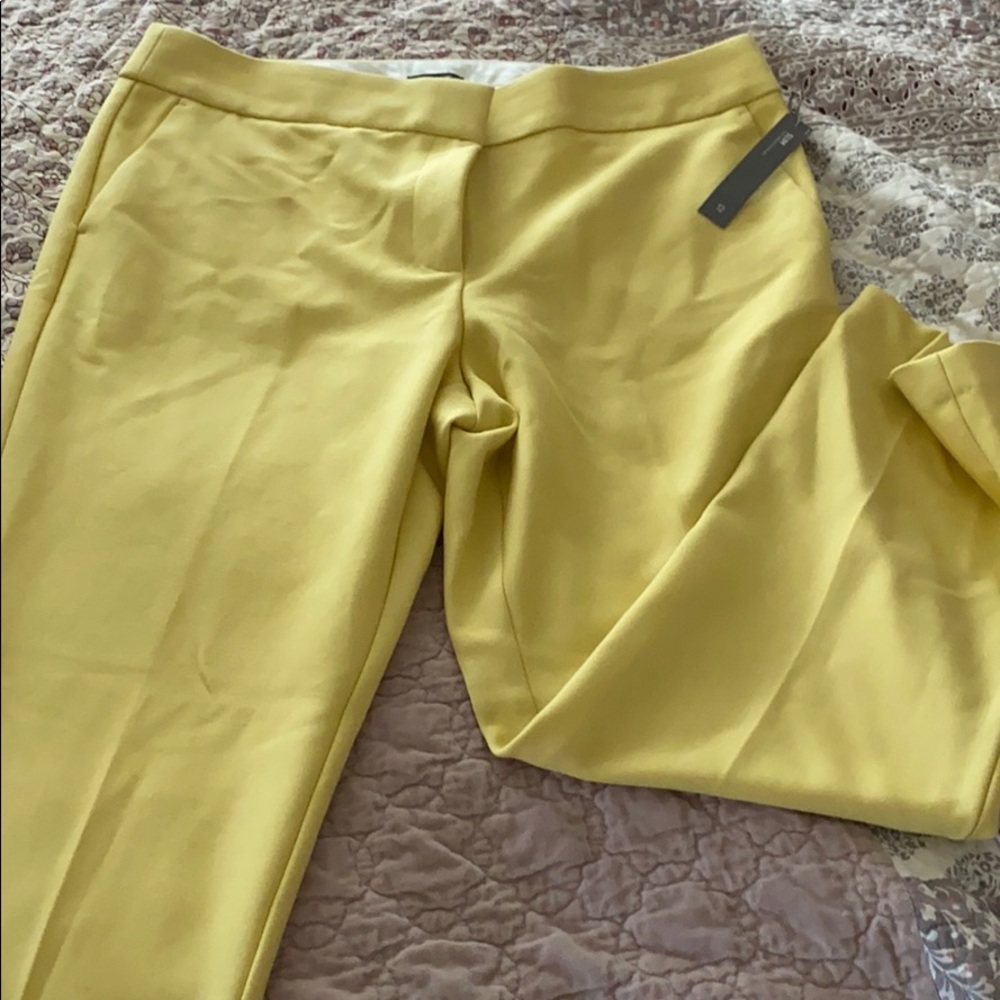 NWT Loft ankle pants